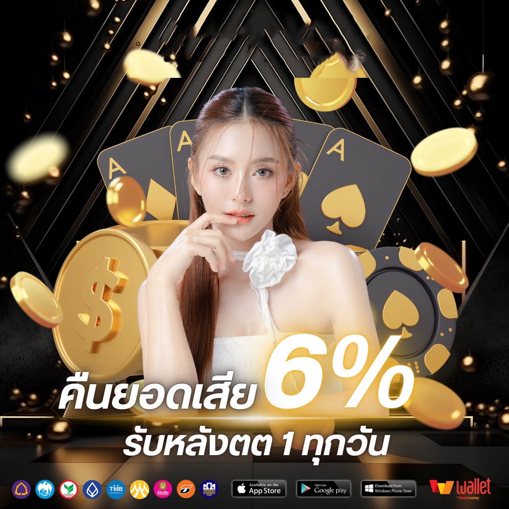 โปร2-skylix99